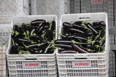 Mersin Ve Adana'nin Ocak Ayi Enflasyonu Yüzde 50,61