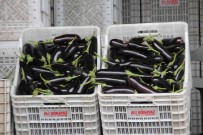 Mersin Ve Adana'nin Ocak Ayi Enflasyonu Yüzde 50,61