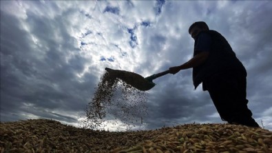 Çiftçi Vergi İdaresi Geri Ödemeleri Yattı Mı? 2022 Çiftçi Vergi Ödemesi Ne Zaman Yatacak?