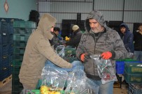 Romanya, Makedonya, Ukrayna'ya Ayva Ve Karyagdi Armudu Ihracati Haberi
