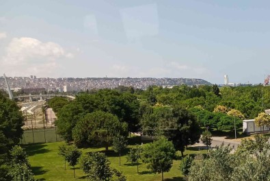 Samsun'un Nüfusu 1 Milyon 371 Bin 274 Kisi Oldu