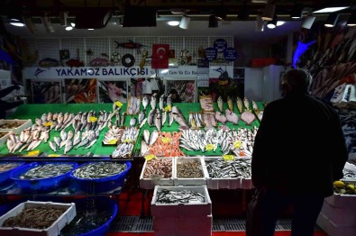 Tezgahlarda Hamsi Bollugu Yasaniyor