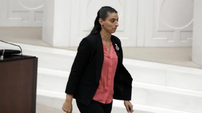 TSK'nin PKK'ya operasyonu HDP'nin ağırına gitti! HDP'li Feleknas Uca Avrupa'ya ağladı: 'Türkiye'ye müdahale edilsin'