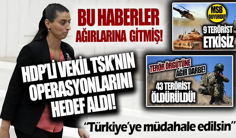 TSK'nin PKK'ya operasyonu HDP'nin ağırına gitti! HDP'li Feleknas Uca Avrupa'ya ağladı: 