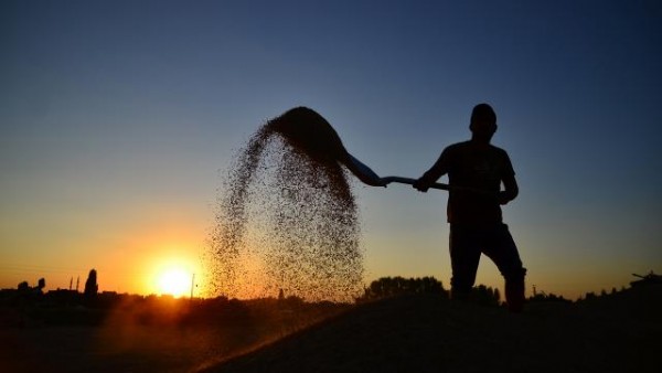 Çiftçi Vergi İdaresi Geri Ödemeleri Yattı Mı? 2022 Çiftçi Vergi Ödemesi Ne Zaman Yatacak?