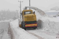 Bitlis'te 250 Köy Yolu Ulasima Kapandi