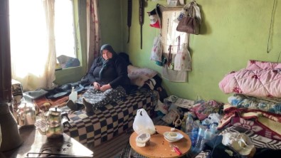 Hayale Ortak Olan Iki Genç, Yasli Çift Için Yeni Bir Ev Insa Ediyor