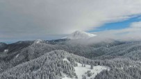 Kar Kalinliginin 1,5 Metreyi Astigi Ilgaz Dagi Görenleri Mest Ediyor