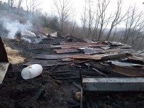 Ahirda Korkutan Yangin Açiklamasi 11 Koyun Telef Olmaktan Kurtarildi