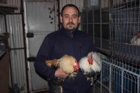 Hobi Olarak Basladigi Ek Isiydi, Issiz Kalinca Tek Isi Oldu