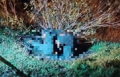 Izmir'deki Korkunç Valiz Cinayetinin Sebebi Belli Oldu