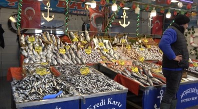 Hamsi 35 Liraya Düstü