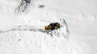 Kar Kaplanlarinin Zorlu Kis Mesaisi