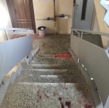 Tabancayla Vuruldu 5 Kat Sürünerek Asagi Indi