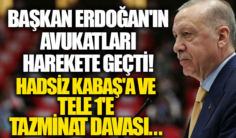 Başkan Erdoğan'dan Sedef Kabaş ve Tele 1'e tazminat davası