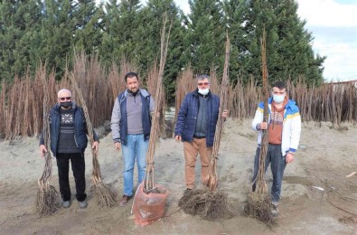 Büyüksehirin Yüzde 50 Hibeli Fidan Dagitimi Basladi