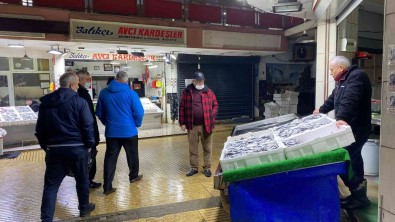 Hamsi Bollugu Balikçilarin Yüzünü Güldürdü