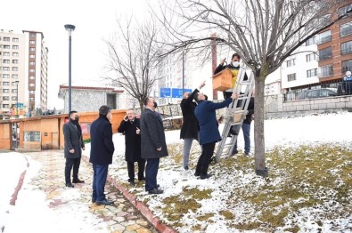 Kastamonu'da Kuslar Için Yem Dagitildi