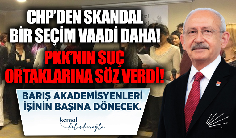 Önce eşcinseller sonra devleti katliamla suçlayan akademisyenler! CHP'den skandal seçim vaadleri...