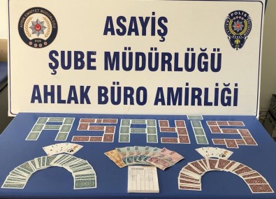 Aydin'da Kiraathaneye Kumar Baskini