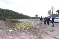 Derince'de Atiklar Komposta Dönüsüyor