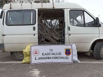 Elazig'da Kablo Hirsizi Yakalandi