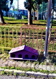 Maltepe'de Can Dostlari Açikta Birakilmiyor