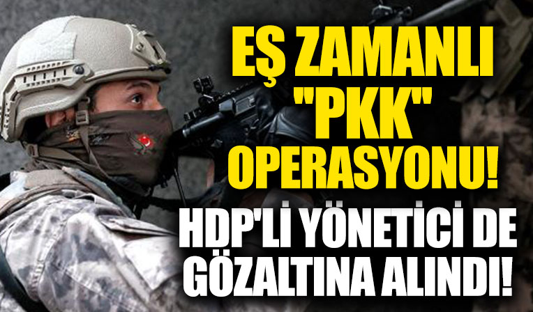 Van ve Mardin'de PKK'ya operasyon: HDP'li yönetici gözaltında