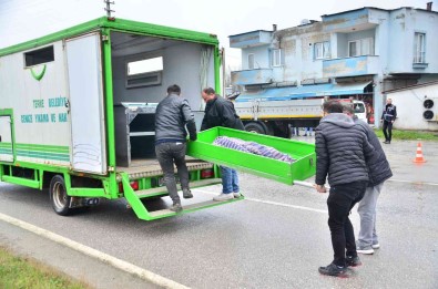 Cipin Çarptigi Yasli Kadin Hayatini Kaybetti