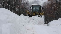 Bingöl'de Kar 65 Köy Yolunu Ulasima Kapatti Haberi