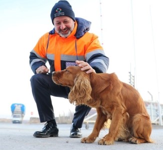 Kocasinan'dan Yogun Kar Yagisinda Sokak Hayvanlari Için Yemleme Çalismasi