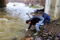 Bingöl'de Su Kaynaklarinda Nitrat Kirliligi Kontrol Ediliyor Haberi