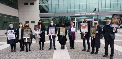 Bolu'da, 15 Kizil Geyigin Avlanmasi Ihalesi Iptal Edildi