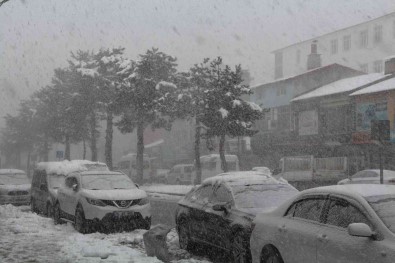 Tatvan'da Kar Yagisi