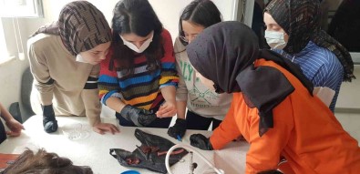 Lise Ögrencileri Kaz Kalbi Üzerinde Deney Yaptilar