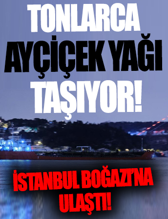 Tonlarca ayçiçek yağı taşıyor: Rusya'dan gelen gemi İstanbul Boğazı'na ulaştı