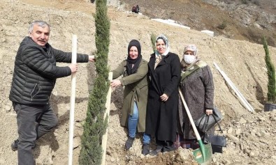 Yeni Yusufeli Kadinlarin Eliyle Yesilleniyor