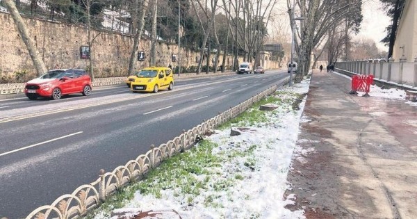 İBB asırlık ağaçları tedavi etmeden kökten kesti! Anıt çınarlarla ilgili şoke eden gerçek! Reklam panosu mu asılacak?