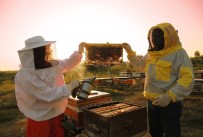 Basvuru Için 15 Mart Son Gün