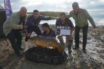 Bu Baliklar, Yarindan Itibaren Avlanamayacak