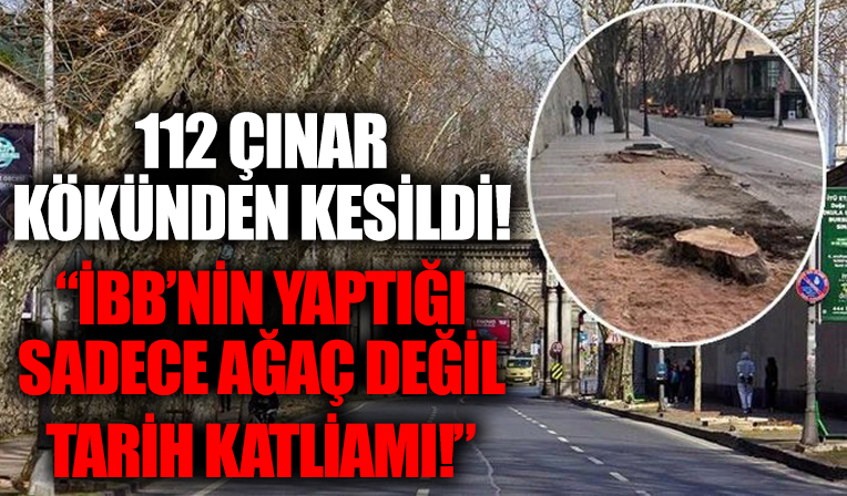 İBB çınar katliamına tepki: Bu tarih katliamıdır!