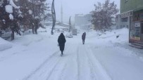 Karliova'da Kar Çilesi Bitmiyor Haberi