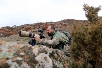 Ormanin Hayaletini Görüntülemek Için 250 Saatlerini Harcadilar