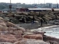 Bandirma' Da 2 Ay Önce Çekilen Deniz Yerine Gelmedi