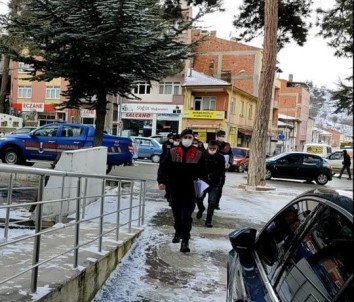 Bilecik Jandarmasi 5 Ayri Yerde Hirsizlik Yapan 4 Kisiyi Yakaladi