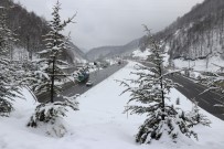 Bolu Dagi'nda Hafif Kar Yagisi Etkili Oluyor Haberi