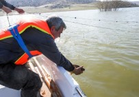 Yasak 15 Haziran'a Kadar Sürecek