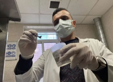 İzmir'de kanser sanılan hastanın soluk borusundan badem zarı çıkarıldı: Bir daha yemem