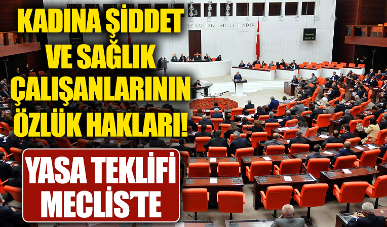 Kadına şiddetin önlenmesi ve sağlık çalışanları için yasa teklifi Meclis'e verilecek!