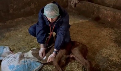 Kalbi boynunda doğdu! Herkesi şaşkına çevirdi!